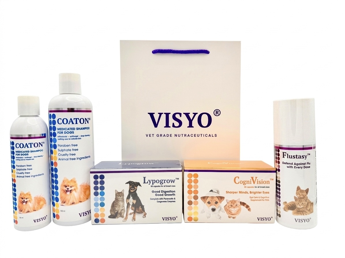VISYO product range on display